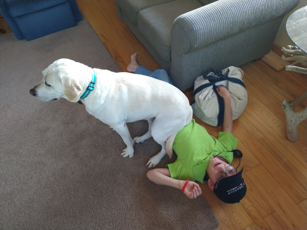 dog